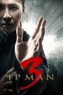 Ip Man 3 (2015)